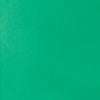 professional-soft-body-acrylic-bright-aqua-green-universal