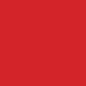 Professional Spray Paint - Cadmium Red Light Hue – Liquitex