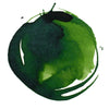 professional-acrylic-ink-sap-green-permanent