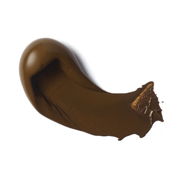 Professional Heavy Body Acrylic - Raw Umber