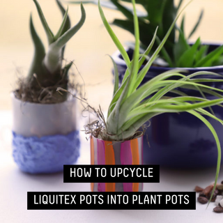 HOW TO UPCYCLE LIQUITEX POTS INTO PLANT POTS