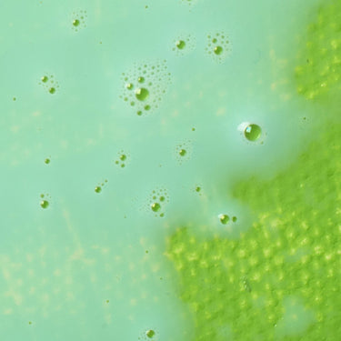 Palette Wetting Spray