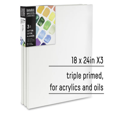 LQX BASICS CANVAS 18X24 X3 887452055297 [KEY POINTS]