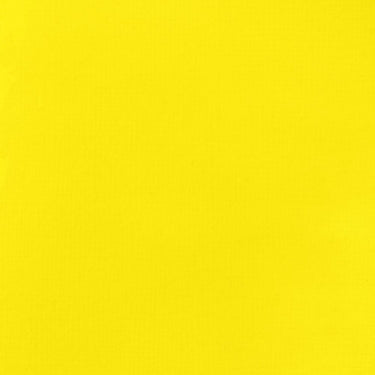 LQX BASICS ACRYLIC FLUID 410 PRIMARY YELLOW [WEBSITE SWATCH]