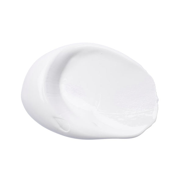 Basics Acrylic Color - Titanium White swatch