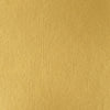 professional-soft-body-acrylic-iridescent-bright-gold-universal