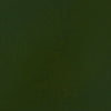 professional-soft-body-acrylic-sap-green-permanent-universal