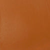 professional-soft-body-acrylic-raw-sienna-universal