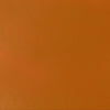 professional-soft-body-acrylic-transparent-raw-sienna-universal