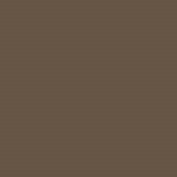 Professional Spray Paint - Raw Umber