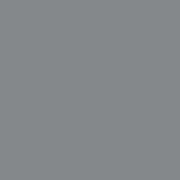 Professional Spray Paint - Iridescent Rich Silver
