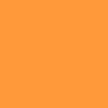 Professional Spray Paint - Fluorescent Orange