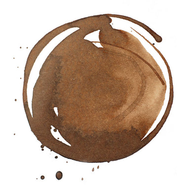 Professional Acrylic Ink - Transparent Burnt Umber
