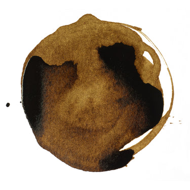 Professional Acrylic Ink - Transparent Raw Umber