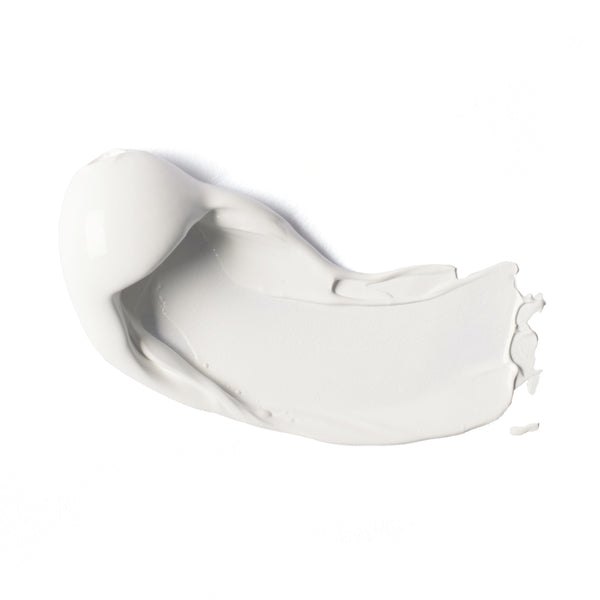 Professional Heavy Body Acrylic - Titanium White swatch